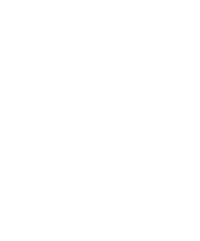 DeZuid | Official Site & Merch